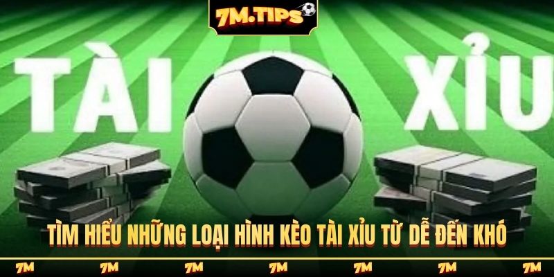 Tìm hiểu những loại hình kèo tài xỉu từ dễ đến khó