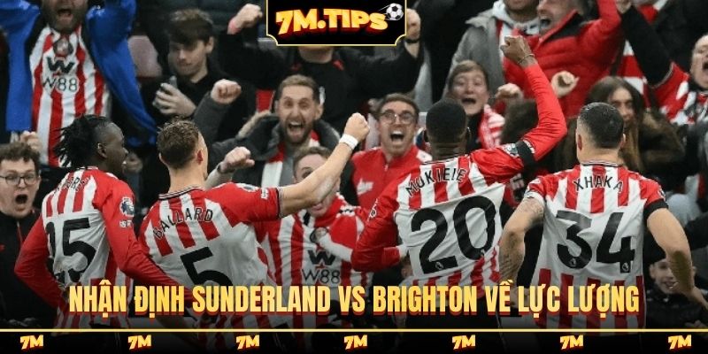 Nhận định Sunderland vs Brighton về lực lượng